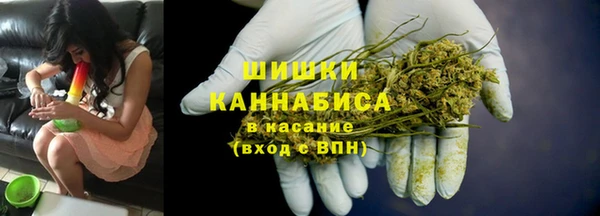 крисы Армянск