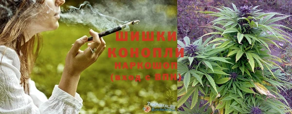 гидропоника Аркадак